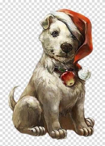 Dog wearing Christmas hats transparent background PNG clipart