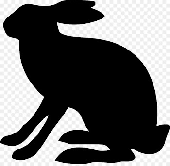 Dog Whiskers Clip art Mammal Canidae -  