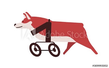 Dog with wheel chair flat vector illustration
