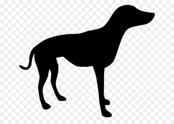 Dogo Argentino Alaskan husky Dobermann Vector graphics Royalty-free -  