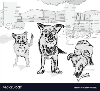 Dogs in The City vector image