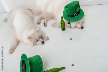 dogs with green hats and beer bottles