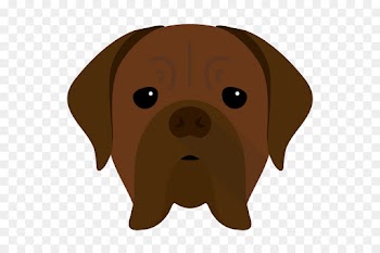 Dogue De Bordeaux, Dog Breed, Dogo, Dog, Vertebrate PNG