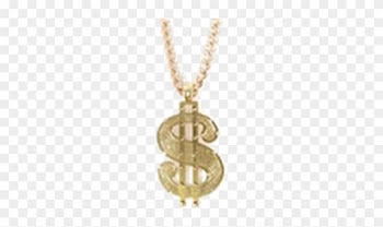 Dollar Chain - Money Necklace