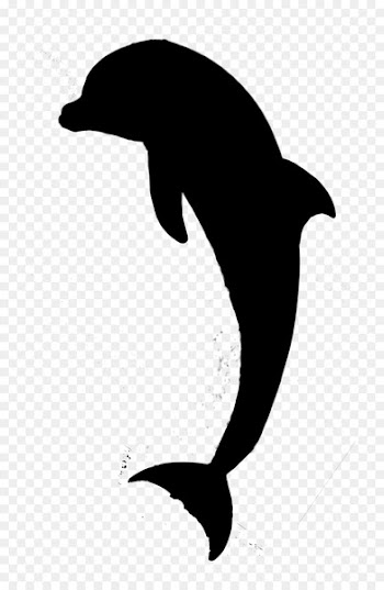 Dolphin Bird Fauna Beak Silhouette -  