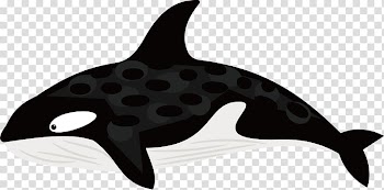 Dolphin Black and white Whale, Black and white whale transparent background PNG clipart