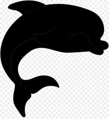 Dolphin, Black White M, Silhouette, Bottlenose Dolphin PNG