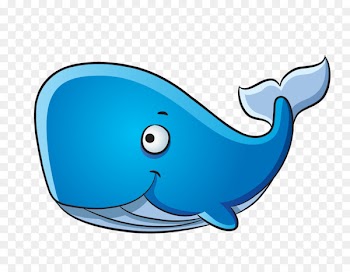 Dolphin Blue whale Drawing Humpback whale - whale 