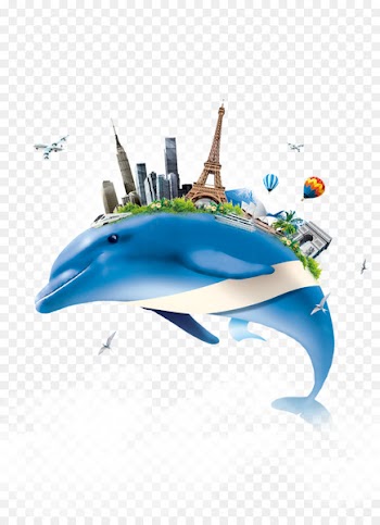 Dolphin - Building on the creative background blue dolphin 