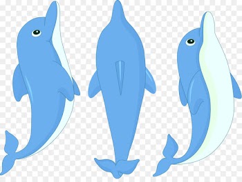 Dolphin Cartoon Clip art - Cartoon dolphin 