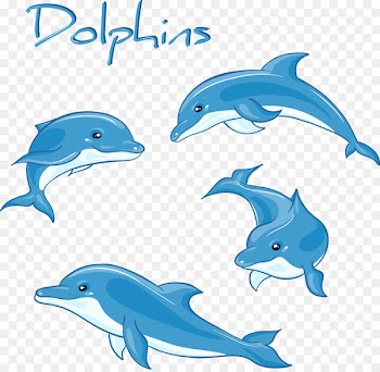 Dolphin Cartoon Drawing Royalty-free - Decorative dolphin variety of positions 