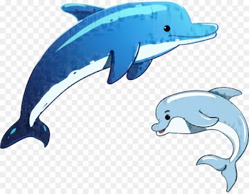 Dolphin, Cartoon, Royaltyfree, Bottlenose Dolphin PNG