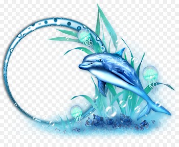 Dolphin Clip art - Decorative borders blue whale 