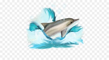 Dolphin Clip art - Dolphin Creative 