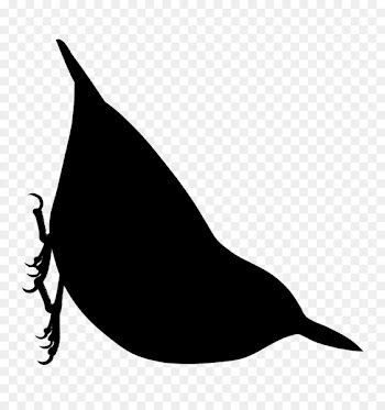 Dolphin Clip art Fauna Silhouette Beak -  
