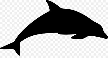 Dolphin Clip art Silhouette Vector graphics stock.xchng - applies silhouette 