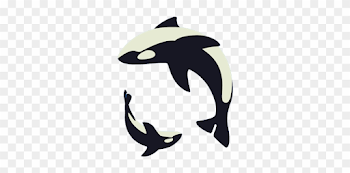 Dolphin Clipart Animation - Oddly Calming - Png Download (#1857178 ...