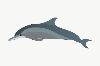 Dolphin clipart, illustration vector. Free | Free Vector - rawpixel