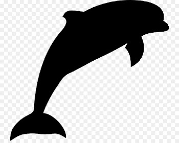 Dolphin, Computer Icons, Marine Life, Marine Mammal, Bottlenose Dolphin PNG
