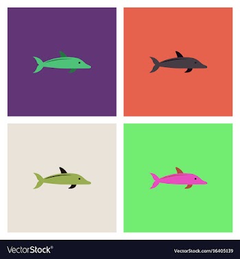 Dolphin delphinus delphis collection vector image