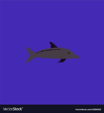 Dolphin delphinus delphis in hatching style vector image