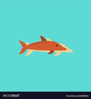 Dolphin delphinus delphis in sticker style vector image
