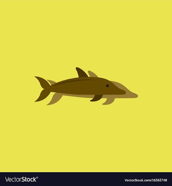 Dolphin delphinus delphis in sticker style vector image