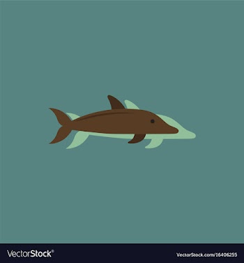Dolphin delphinus delphis in sticker style vector image