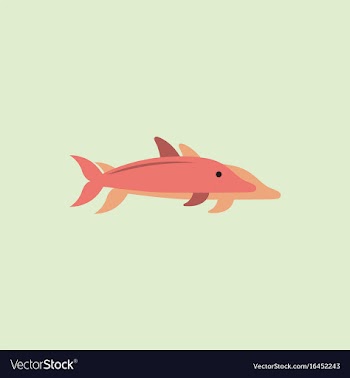 Dolphin delphinus delphis in sticker style vector image
