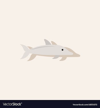 Dolphin delphinus delphis in sticker style vector image