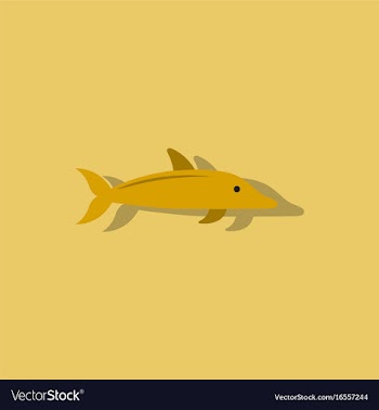 Dolphin delphinus delphis in sticker style vector image