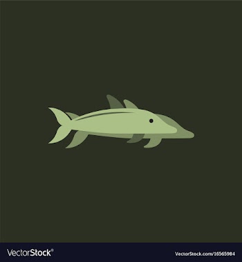Dolphin delphinus delphis in sticker style vector image