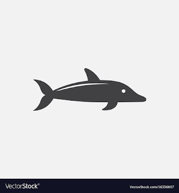 Dolphin delphinus delphis vector image