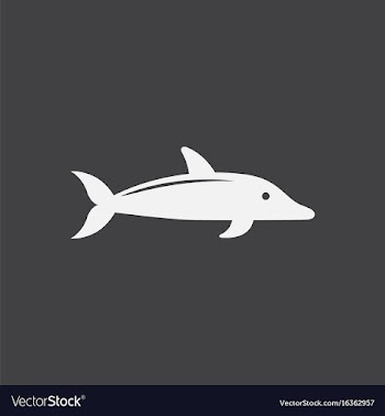 Dolphin delphinus delphis vector image