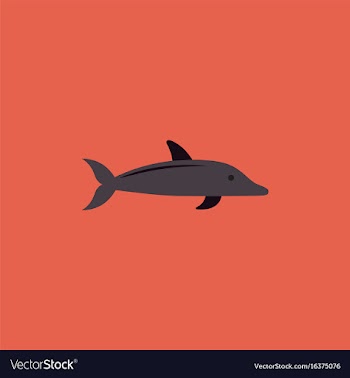 Dolphin delphinus delphis vector image
