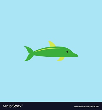 Dolphin delphinus delphis vector image