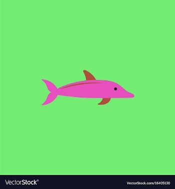 Dolphin delphinus delphis vector image
