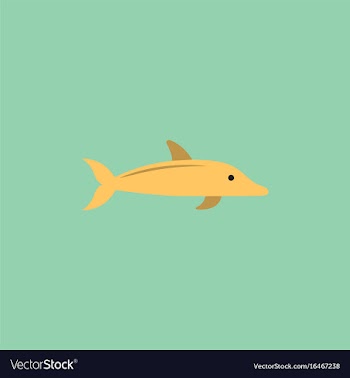 Dolphin delphinus delphis vector image