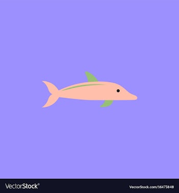 Dolphin delphinus delphis vector image