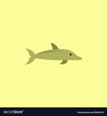 Dolphin delphinus delphis vector image