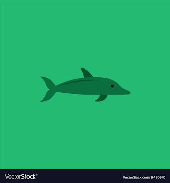 Dolphin delphinus delphis vector image