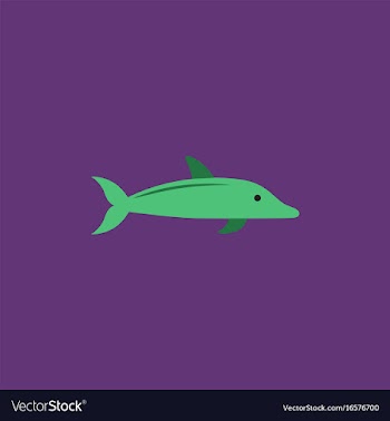 Dolphin delphinus delphis vector image