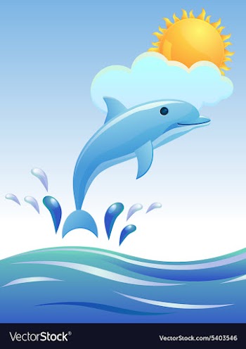 Dolphin design vector image