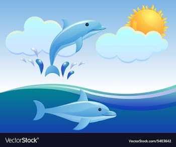 Dolphin design vector image