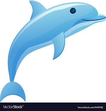 Dolphin design vector image