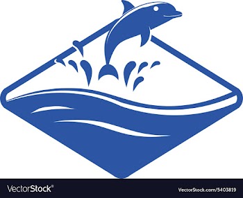 Dolphin design vector image