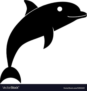 Dolphin design vector image