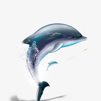 Dolphin, Dolphin Clipart, Water Animals PNG Transparent Clipart ...