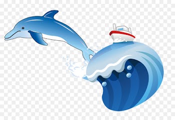 Dolphin Download - Dolphin Surf 
