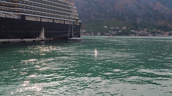 Dolphin Emerges From The Water In The Sea Near The Cruise Ship ...